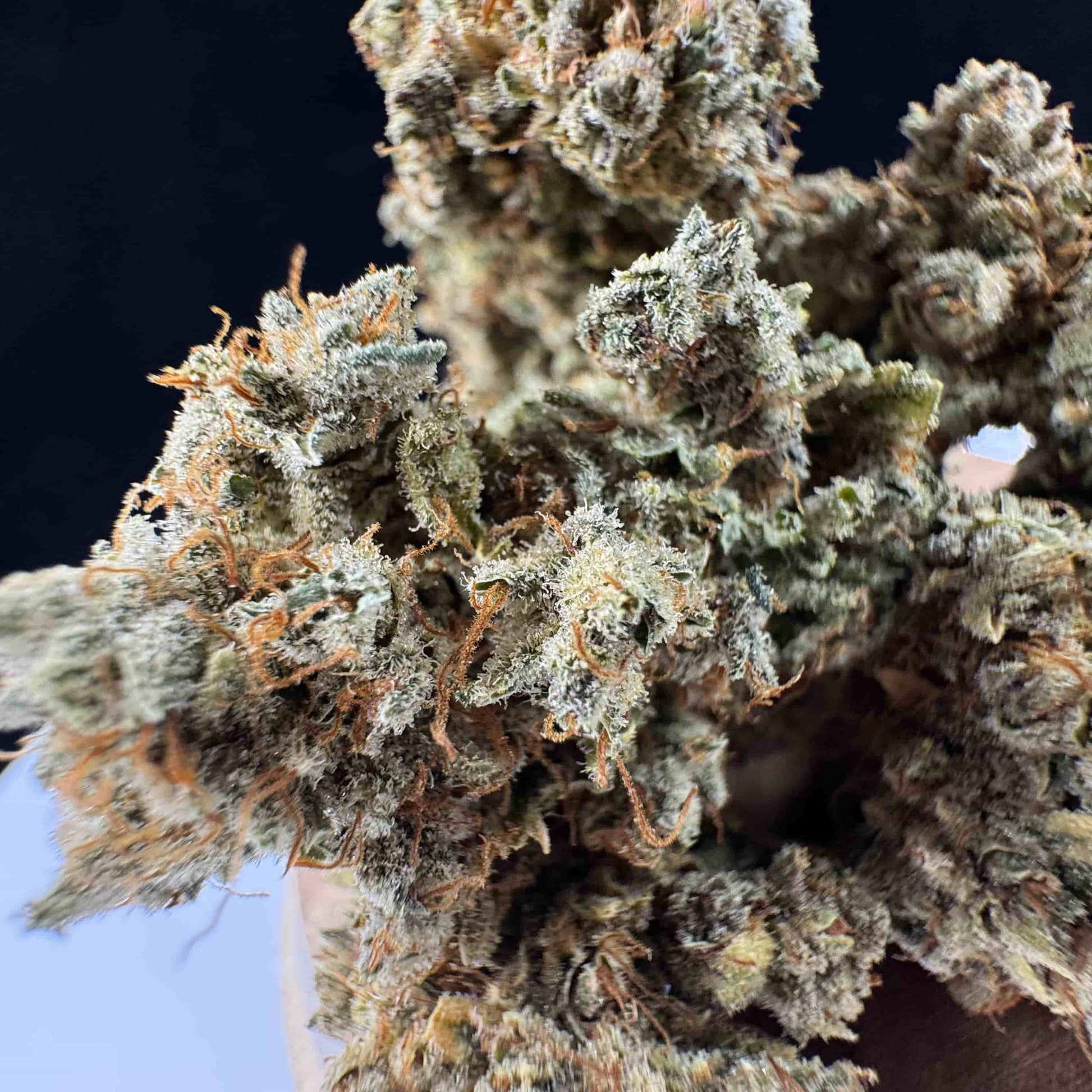 CBD Fleurs - Horchata GREENZIA 420