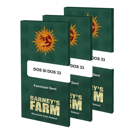 Barney’s Farm - Dos si Dos 33 - Féminisées