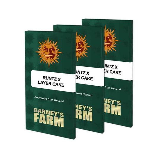 Barney’s Farm - Runtz x Layer Cake - Féminisées