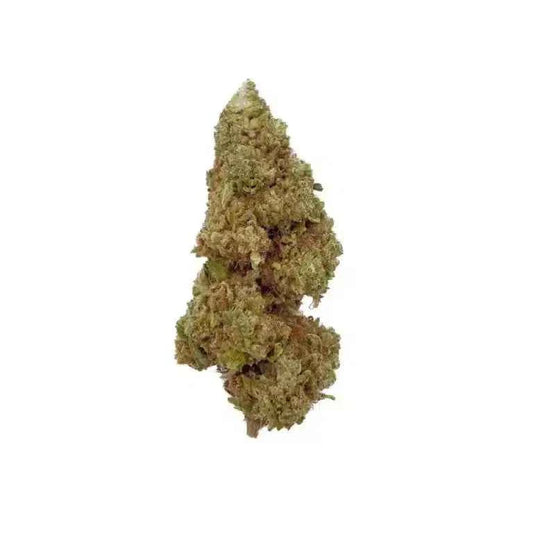 Orange Bud