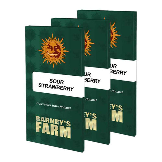 Barney’s Farm - Sour Strawberry - Féminisées